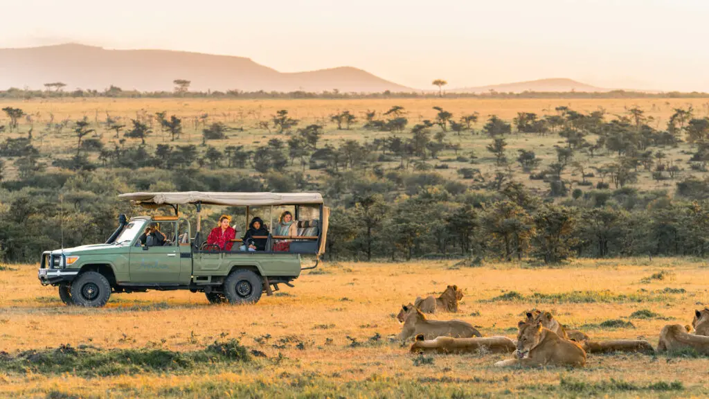 Guests observing a pride of lions while on a game drive in the Serengeti