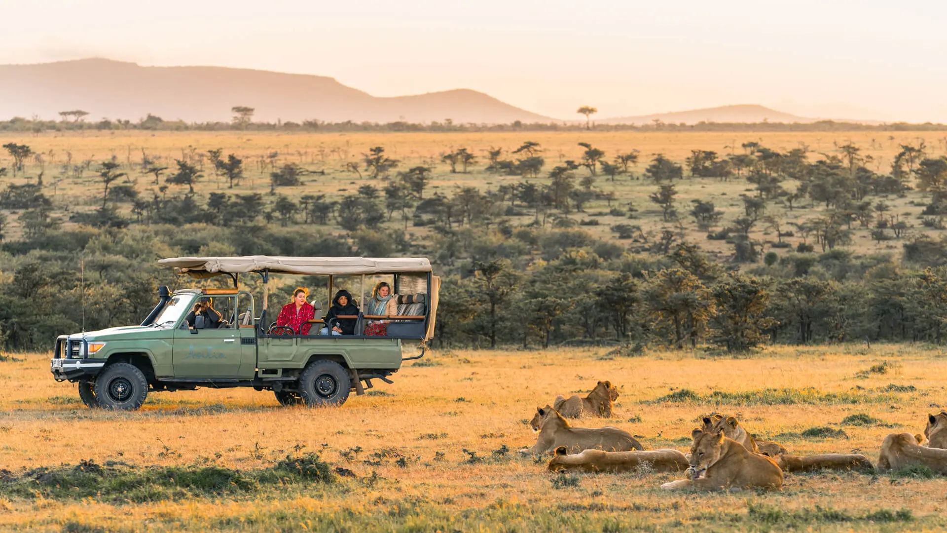 Guests observing a pride of lions while on a game drive in the Serengeti