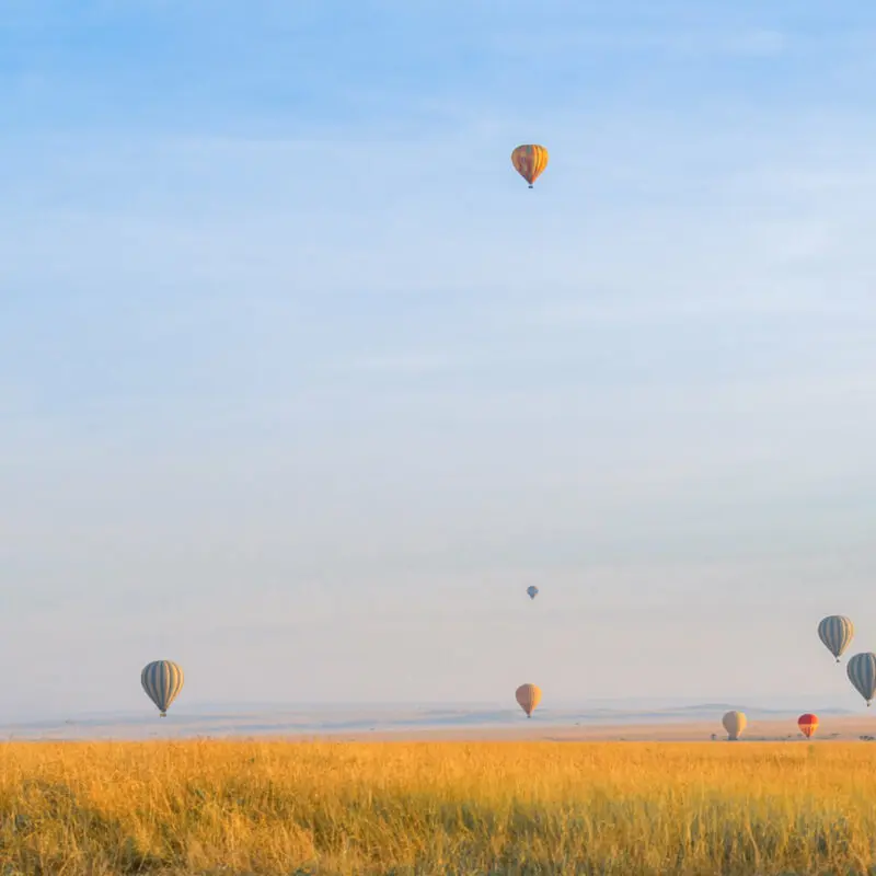 The skies above the plains of the Serengeti dotted with many colourful hot air balloons