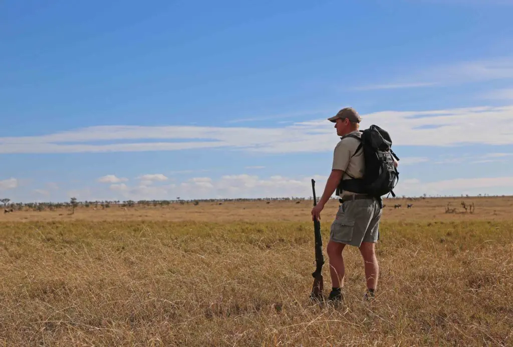 A guide looks over the plains, safari-ready | Asilia Africa