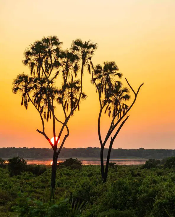 Nyerere National Park at sunset Asilia Africa 1