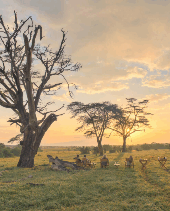 Asilia guests having sundowners in the Ol Pejeta Conservancy