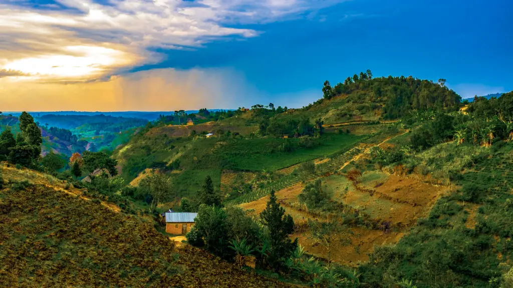 Lush, terraced landscapes of local villages in Uganda