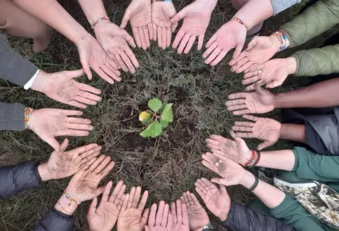 The Maa Trust Planting Trees