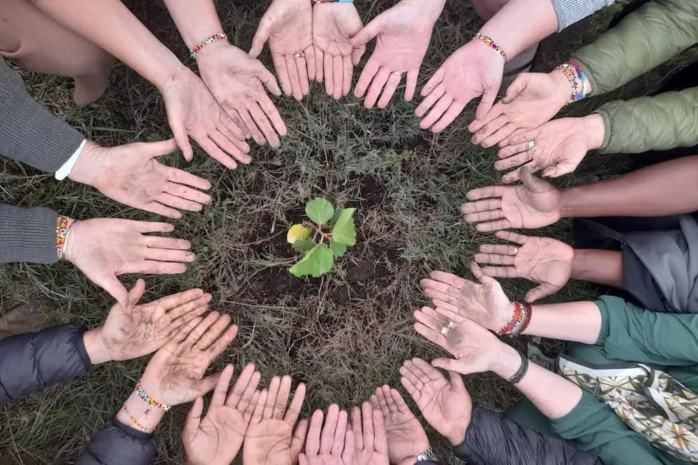 The Maa Trust Planting Trees
