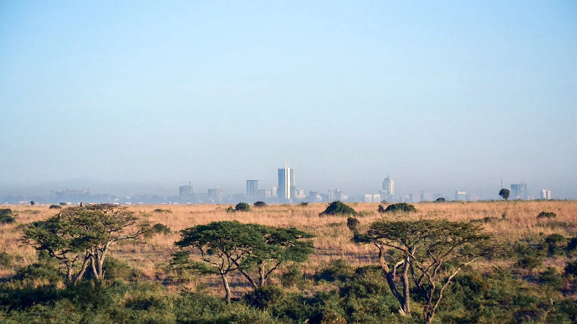 The city skyline in the background of Nairobi National Park, Kenya