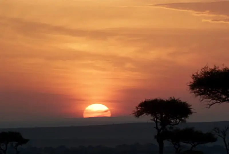 The iconic sunrise shot of The Lion King remake