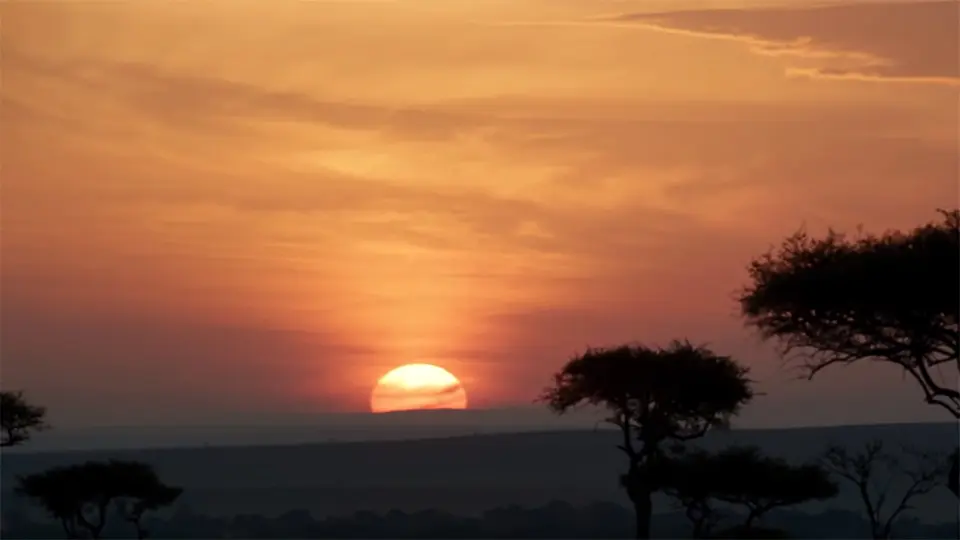 The iconic sunrise shot of The Lion King remake