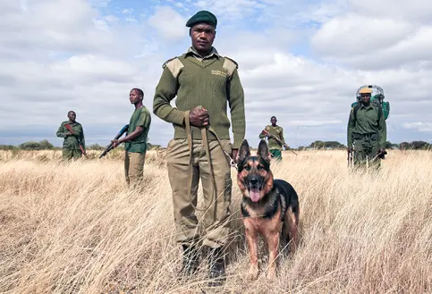 Honeyguide safari rangers with dog
