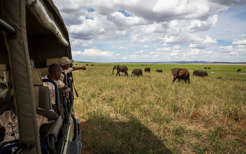 Twende Looking at Elephants from a Safari Vehicle