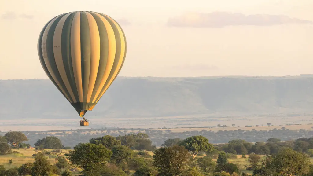 Website Header Serengeti