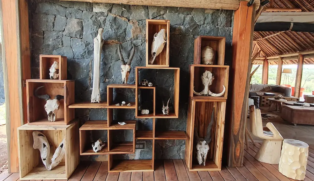 Wooden display case at the entry to the lounge, Naboisho