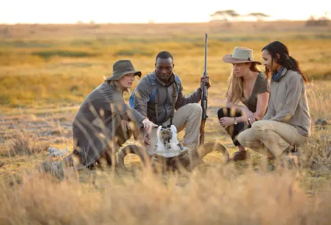 Walking safari, guide showing guests a buffalo skull, Serengeti National Park, Tanzania
