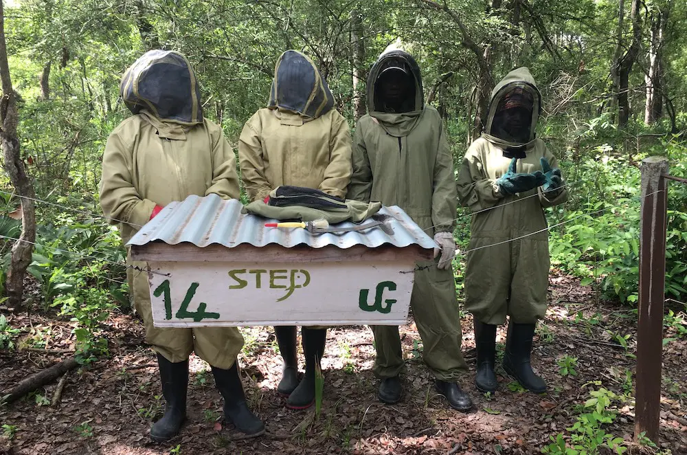 Beehive fence provides elephant friendly crop protection