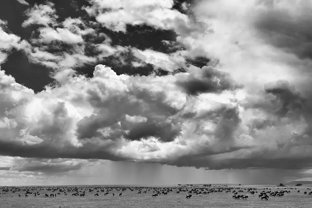 The Great Migration underneath a sky of clouds