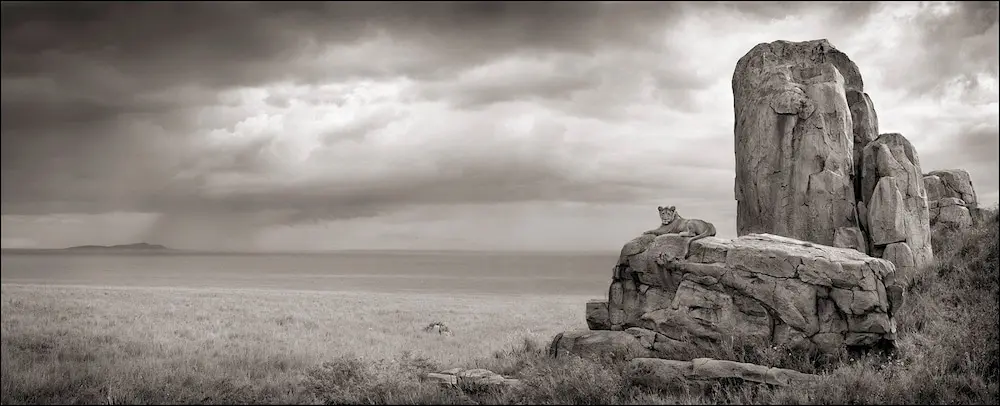 "Lion with Monolith", by Nick Brandt