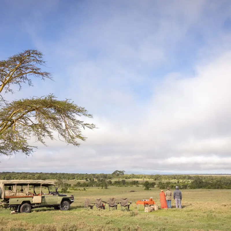 a family enjoying a bush breakfast in ol pejeta conservancy, kenya, with asilia africa