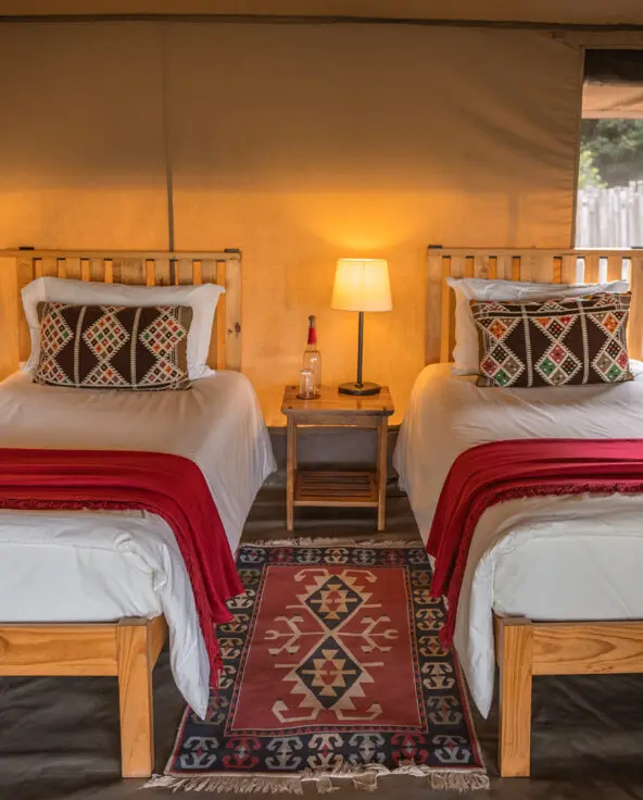 a view of one of the bedrooms in the family tent at ol pejeta bush camp in kenya, asilia africa
