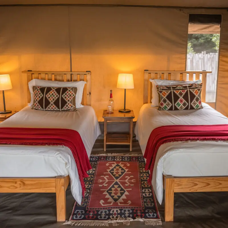 a view of one of the bedrooms in the family tent at ol pejeta bush camp in kenya, asilia africa