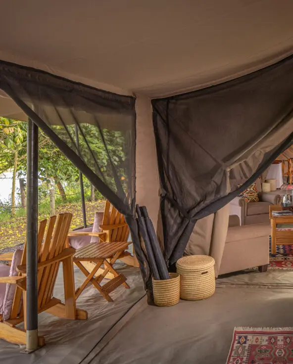 internal view of the family tent at ol pejeta bush camp in kenya east africa, asilia africa
