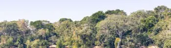 view of rubondo island camp, tanzania, asilia africa