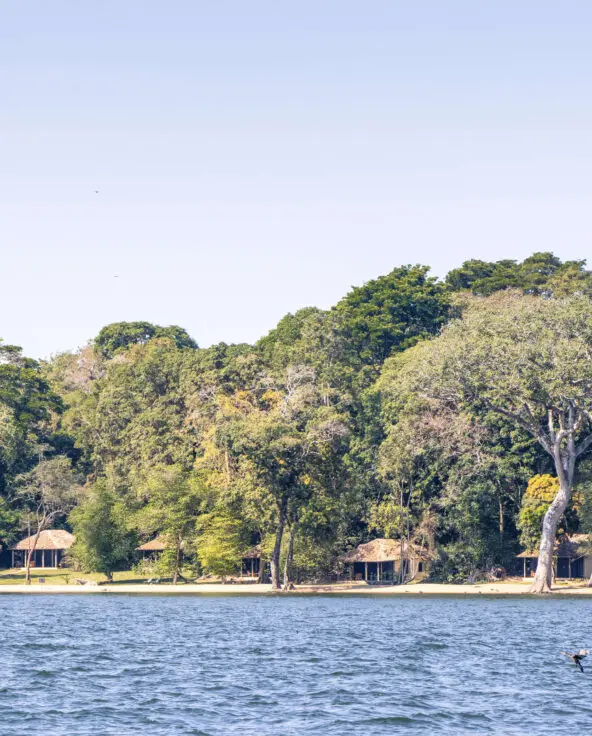 view of rubondo island camp, tanzania, asilia africa