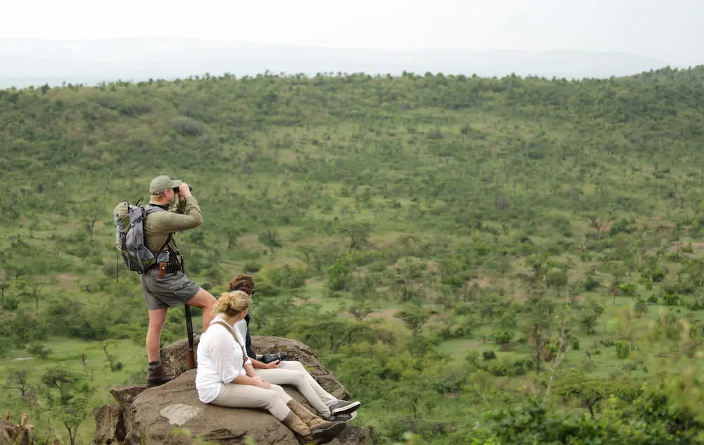 Walking Safaris in the Naboisho Conservancy