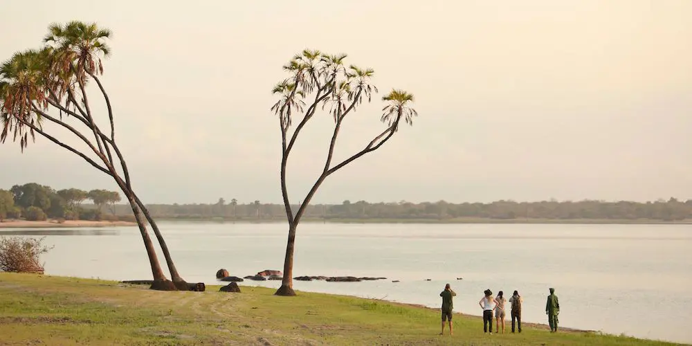 Guest gazing out on the banks of the river on walking safari
