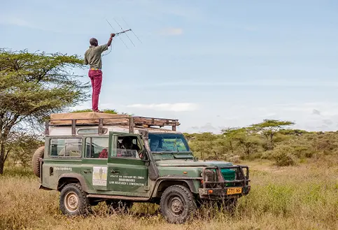 Researcher stood on safari vehicle for Kope Lion