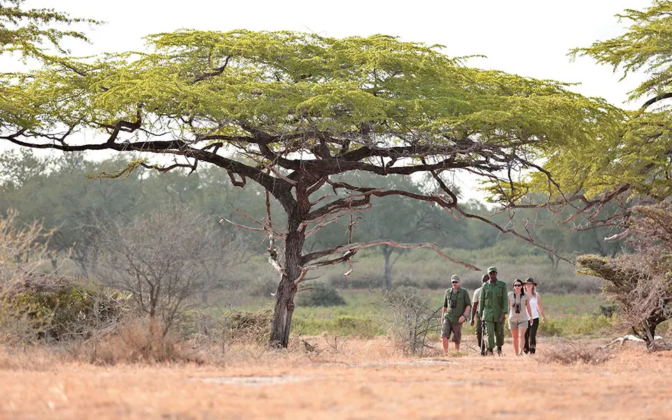 Walking safari East Africa