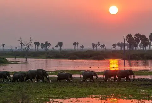 Southern Tanzania safari circuit