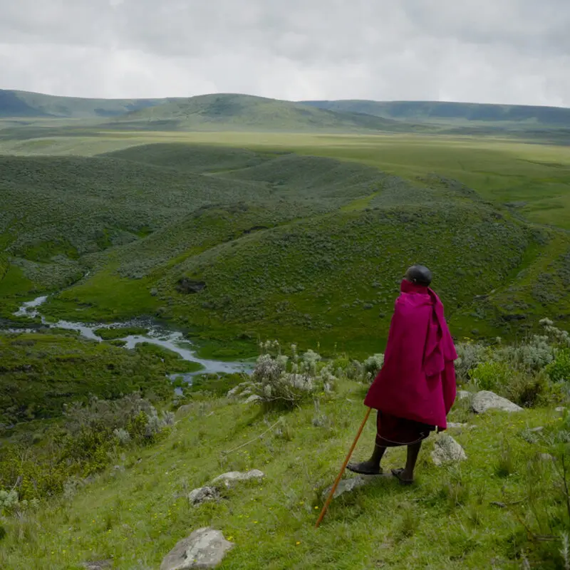 A Maasai herdsman surveys the rolling landscape of East Africa