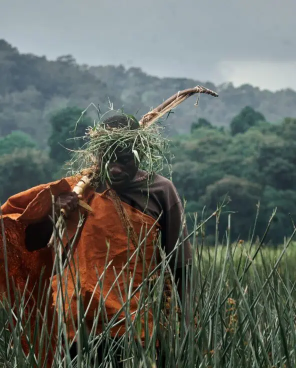 A Batwa man in traditional clothing walking through tall grasses with forested hills in the background