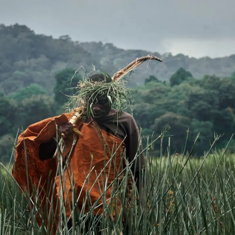 A Batwa man in traditional clothing walking through tall grasses with forested hills in the background