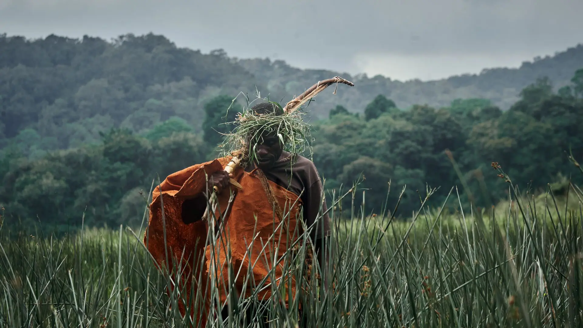 A Batwa man in traditional clothing walking through tall grasses with forested hills in the background