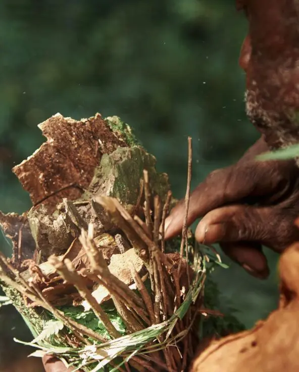 Close-up of hands holding and preparing pieces of bark and plants in a forest setting
