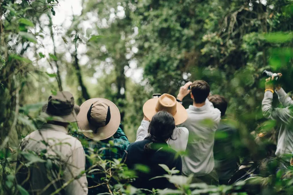 A group on a gorilla trek aim their binoculars to the thick forest foliage