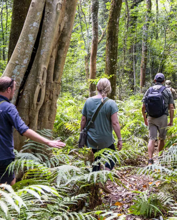 Lake Victoria, guided chimp trek safari