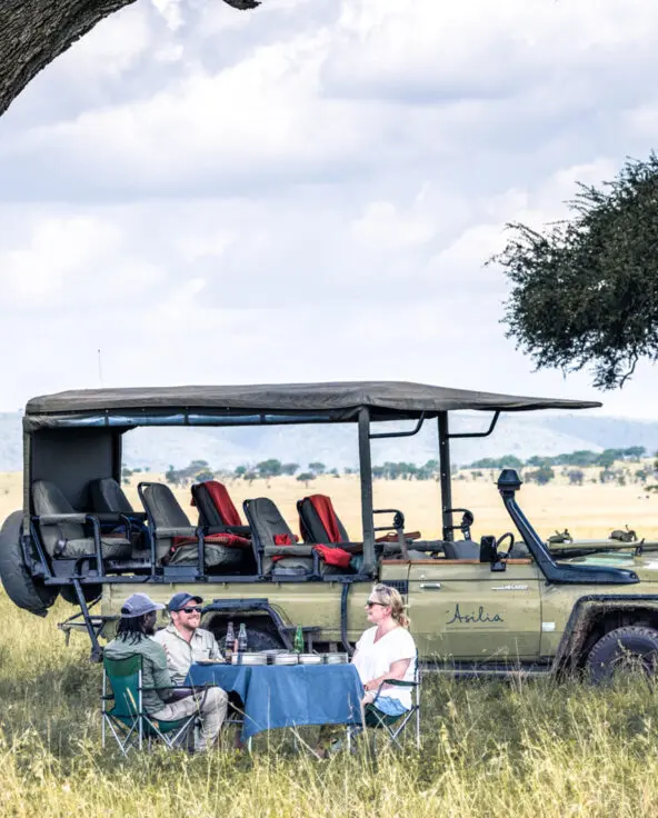 Serengeti National Park, safari vehicle parked under a tree, table setup for lunch