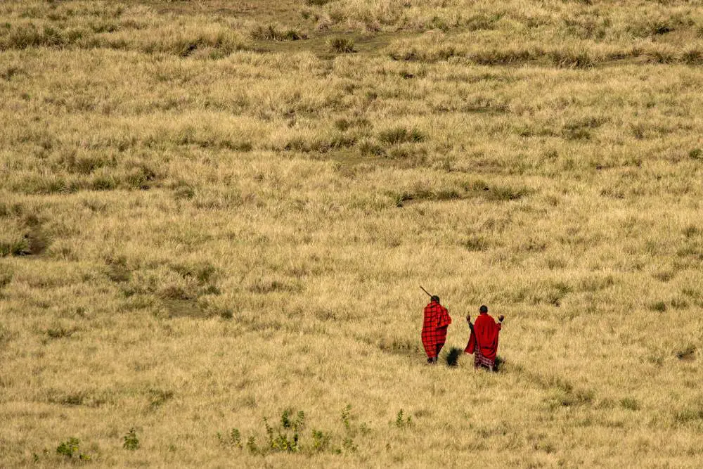 Two Maasai in traditional red shukas walk through the grasslands of Ngorongoro, northern Tanzania.