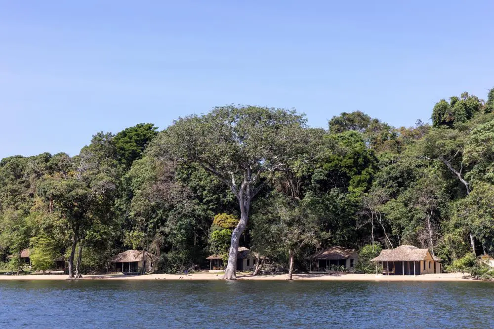 A view of the Rubondo cottages lining the beach front, with the dense forest close behind.
