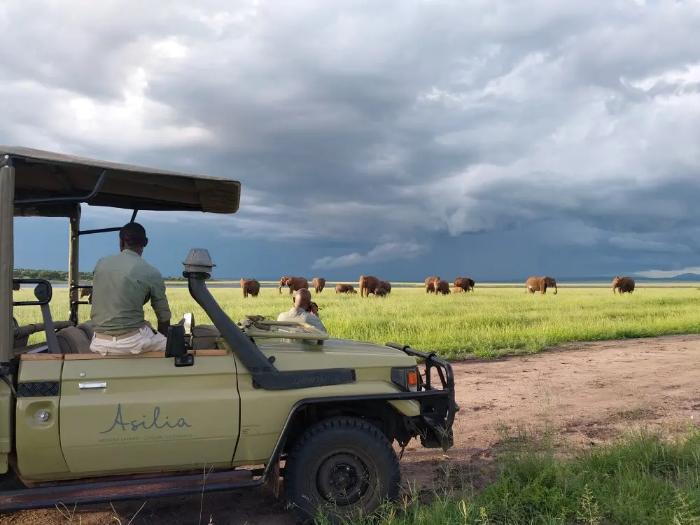 Charles, photographing a herd of elephant in perfect light, Tarangire National Park, Tanzania.