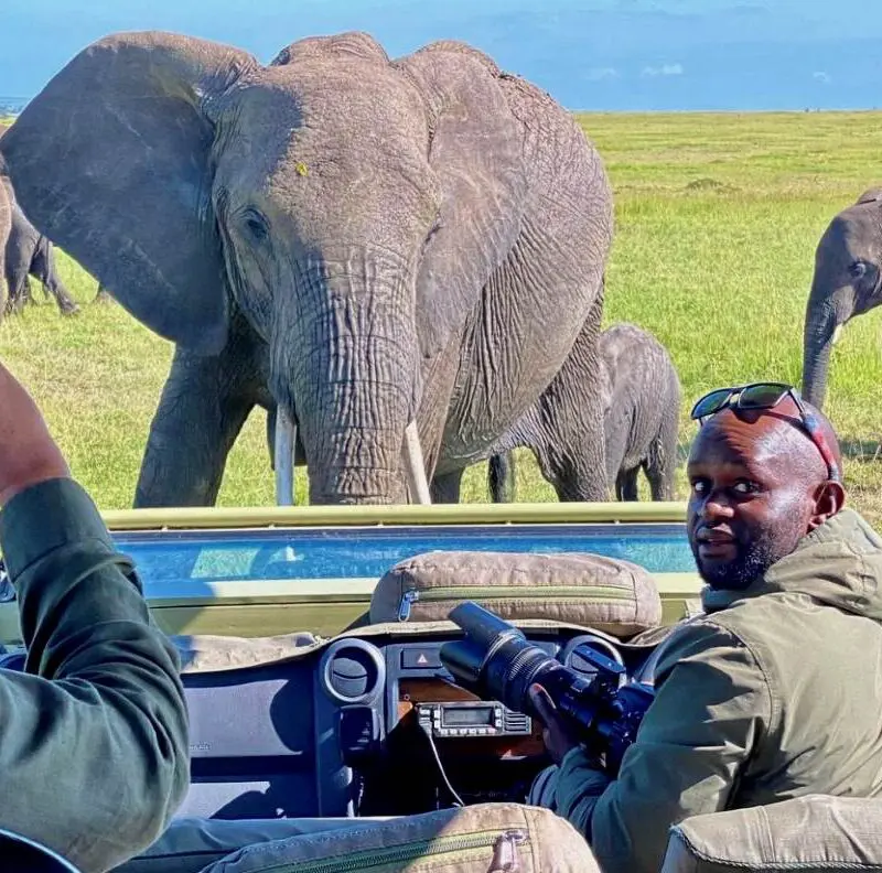 A curious herd of elephant come to inspect Charles's vehicle.