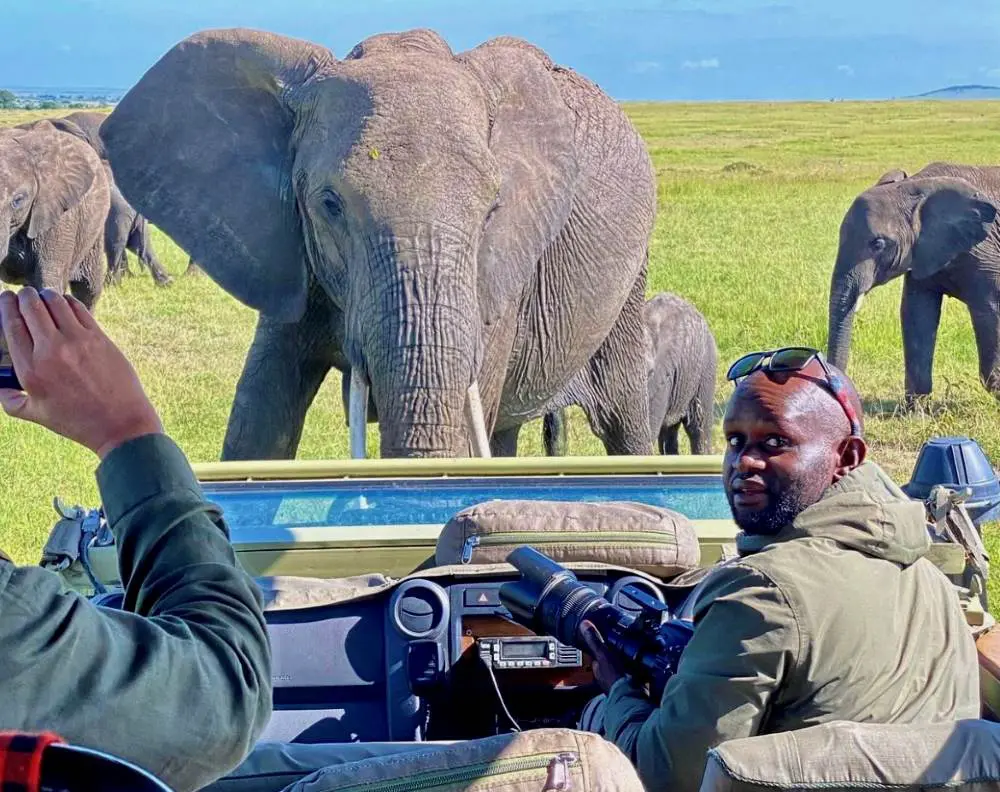 A curious herd of elephant come to inspect Charles's vehicle.