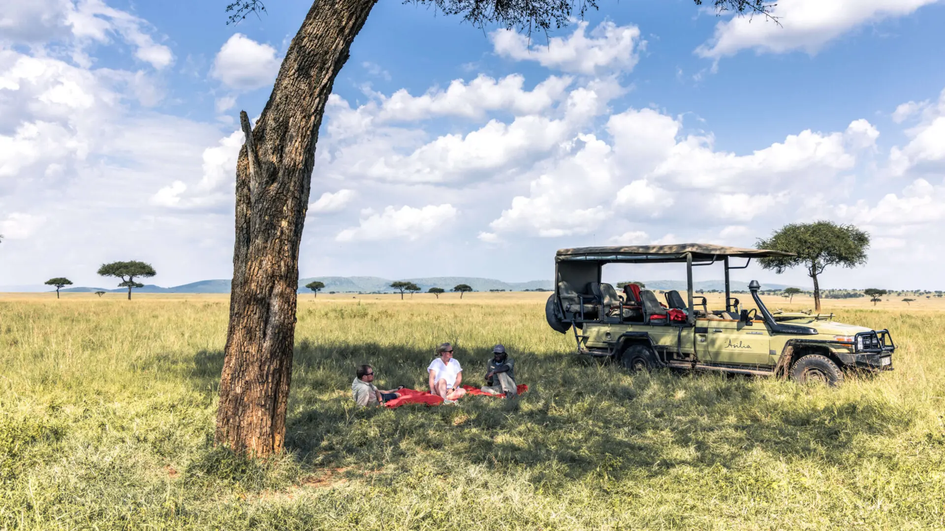 Guests and guide sitting on a blanket under a tree near their private vehicle on a game drive put stop in Serengeti National Park