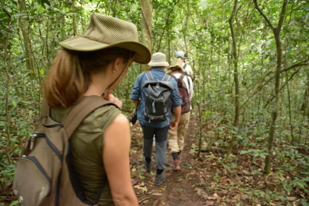Clouds Mountain Gorilla Lodge Forest Walk