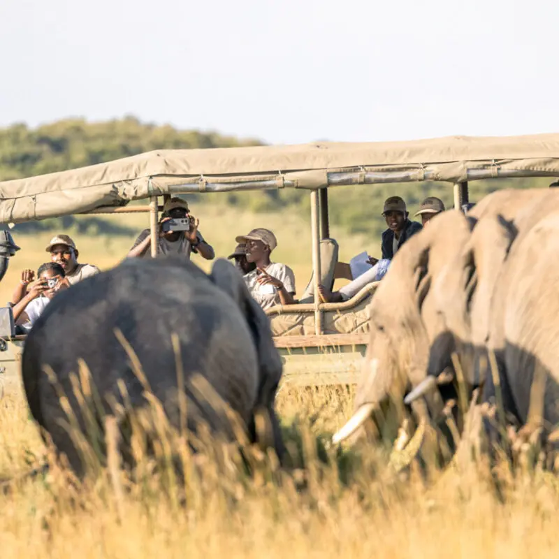 Children in a safari vehicle observing rhino on an Asilia Africa Twende Porini trip at Rekero Camp in Tanzania