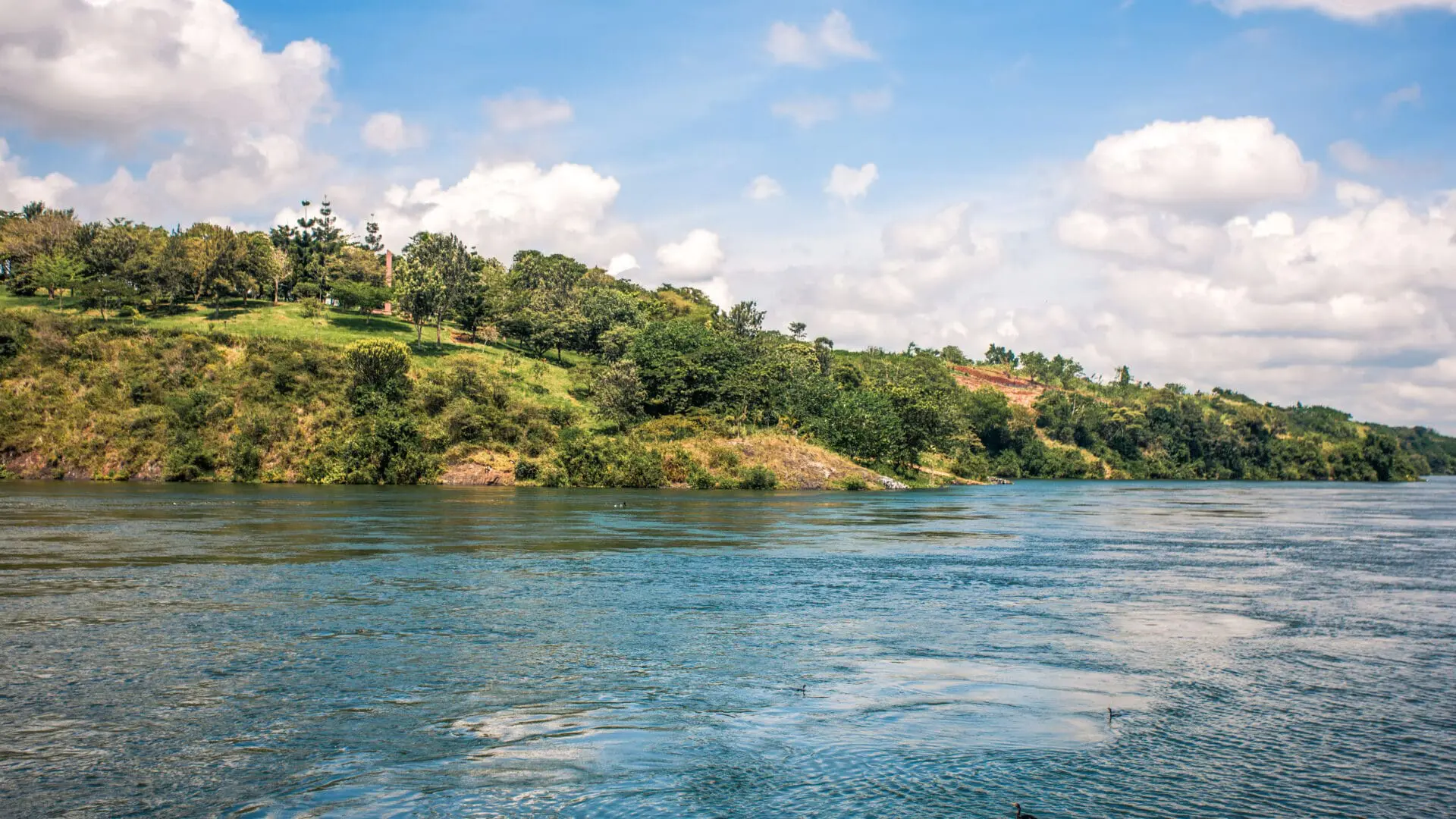 a view from a boat on the water in queen elizabeth national park in uganda