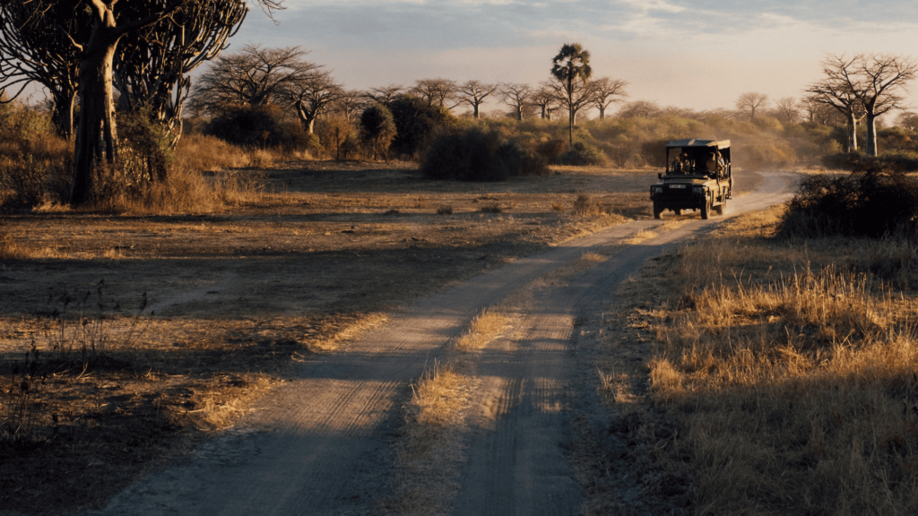 asilia africa safari vehicle driving along a dusty road at sunrise in southern tanzania