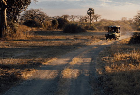 asilia africa safari vehicle driving along a dusty road at sunrise in southern tanzania